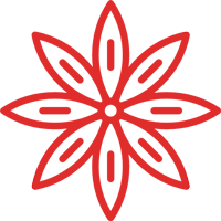 Anise